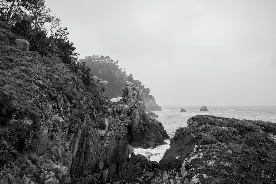 Point Lobos XI BW Photograph by David Gordon