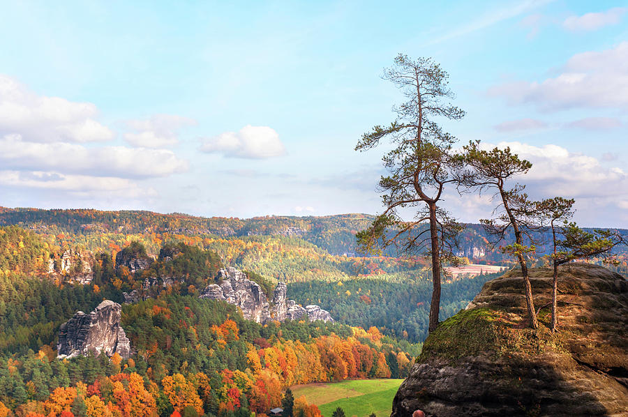 Point of View. Saxon Switzerland Photograph by Jenny Rainbow