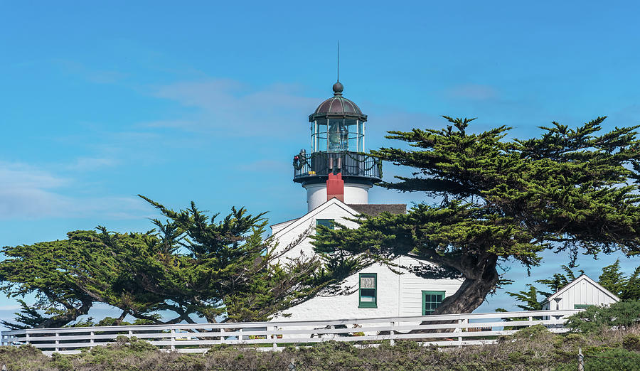 Point Pinos Lighthouse Photograph by David A Litman