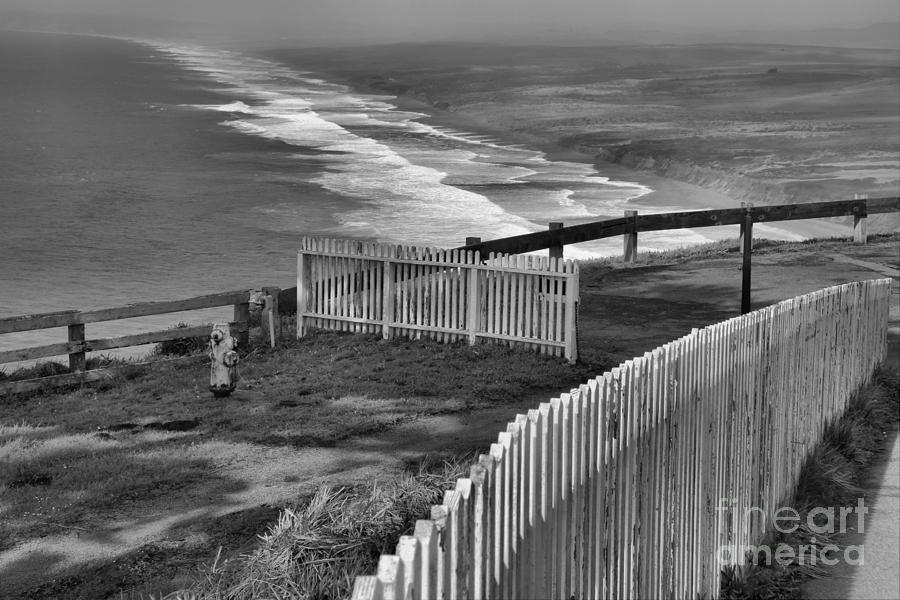 Point Reyes Fence Black And White Photograph by Adam Jewell