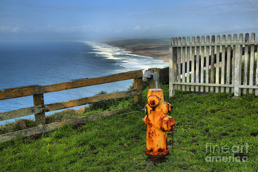 Point Reyes National Seashore Photograph - Point Reyes Fire Hydrant by Adam Jewell