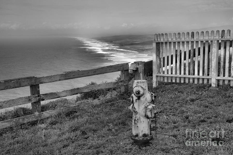 Point Reyes Fire Hydrant Black And White Photograph by Adam Jewell