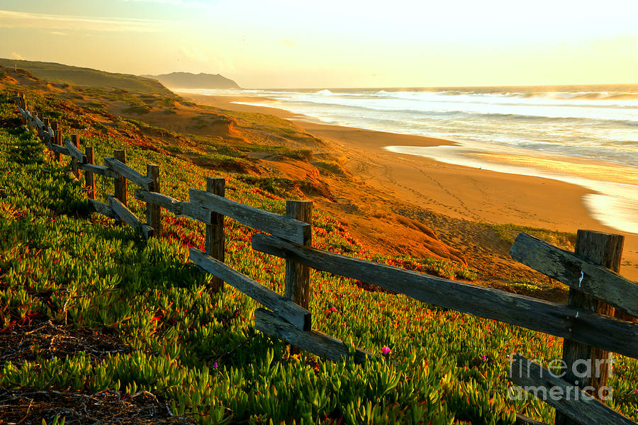 Point Reyes Golden Sunset Photograph by Adam Jewell