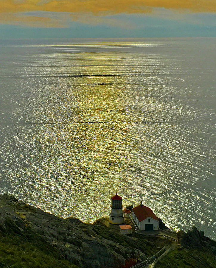 Point Reyes Lighthouse Photograph