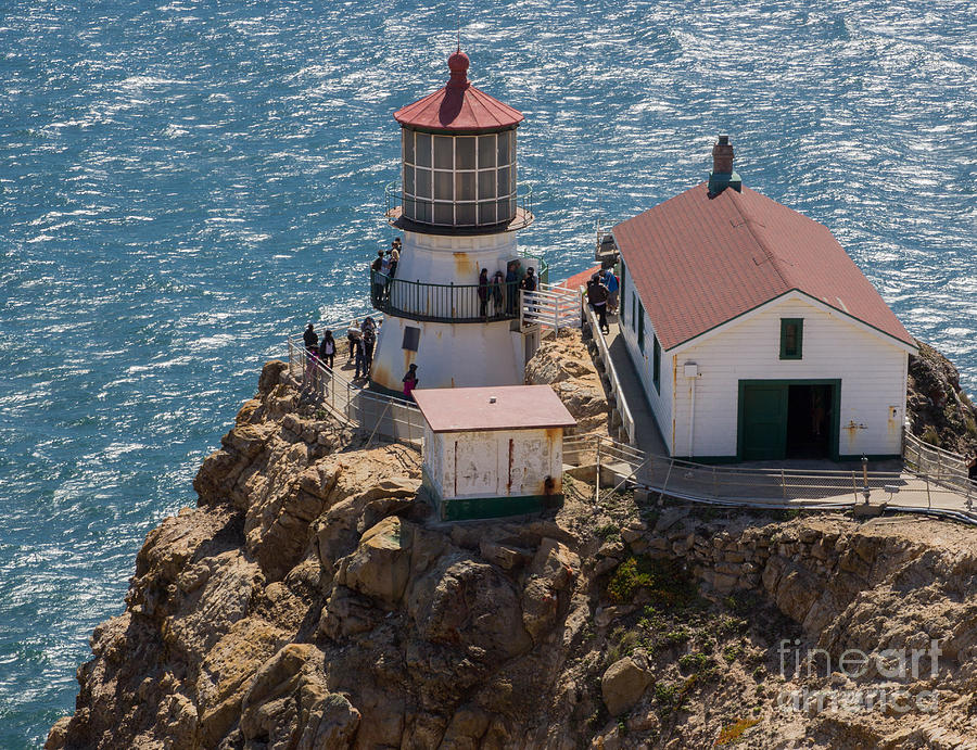 Point Reyes Lighthouse Photograph by Suzanne Luft