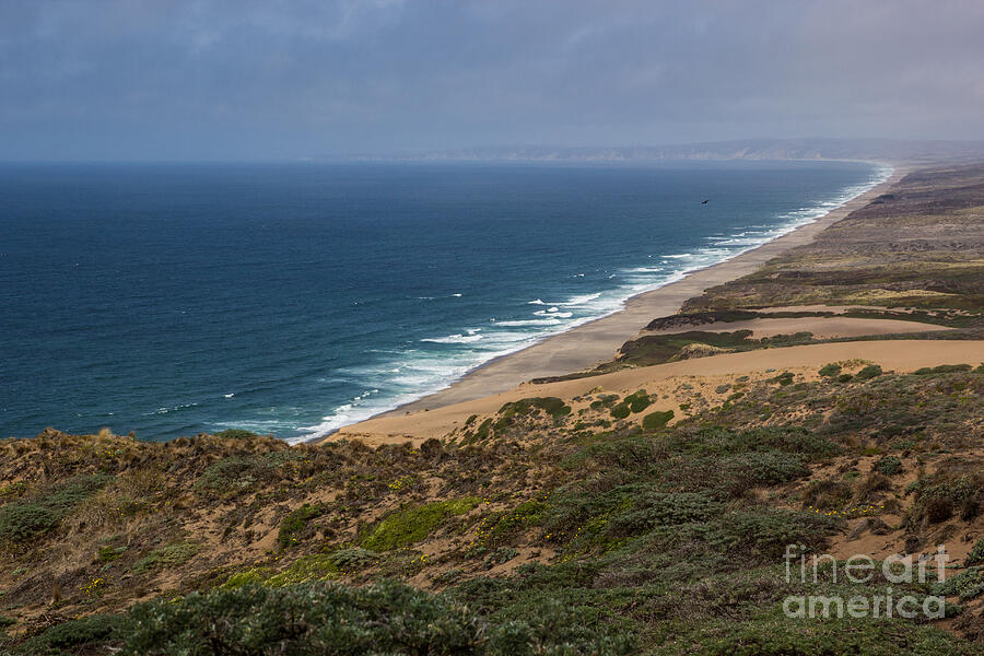 Point Reyes National Seashore Photograph by Suzanne Luft