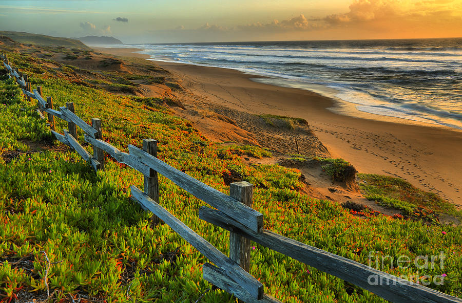 Sunset Photograph - Point Reyes Paradise by Adam Jewell