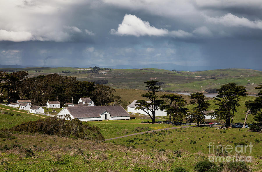 Point Reyes Pierce Point Ranch Photograph by b Canepa Fine Art America