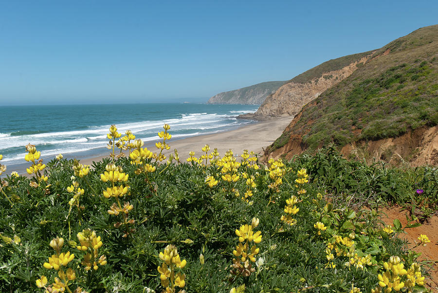 Point Reyes Spring Landscape Photograph by Cascade Colors