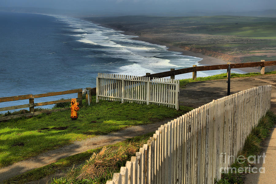 Point Reyes Wooden Fences Photograph by Adam Jewell