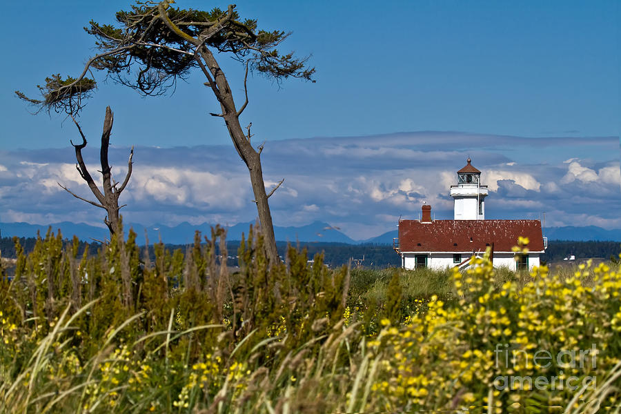 Lighthouse Photograph - Point Wilson Lighthouse by Rick Mann