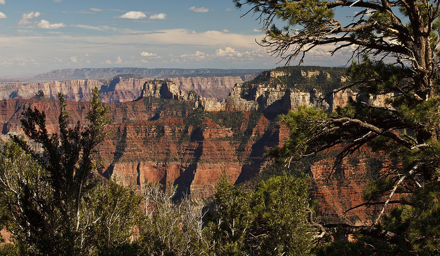 Pointe Imperial - Grand Canyon Photograph by Jonas Wingfield