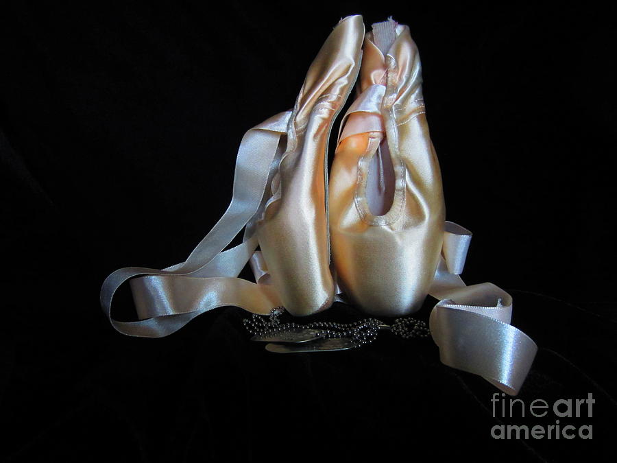 Pointe shoes and dog tags2 Photograph by Laurianna Taylor