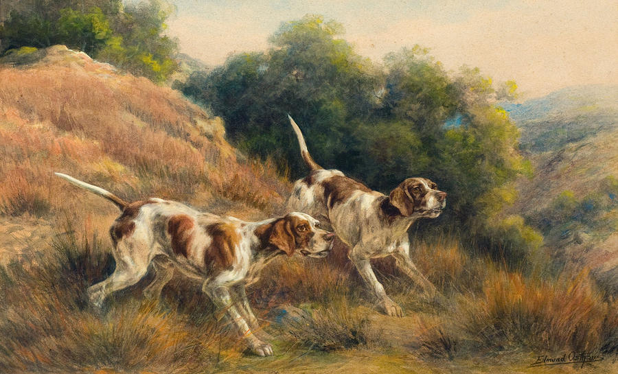 Pointers Painting by Celestial Images