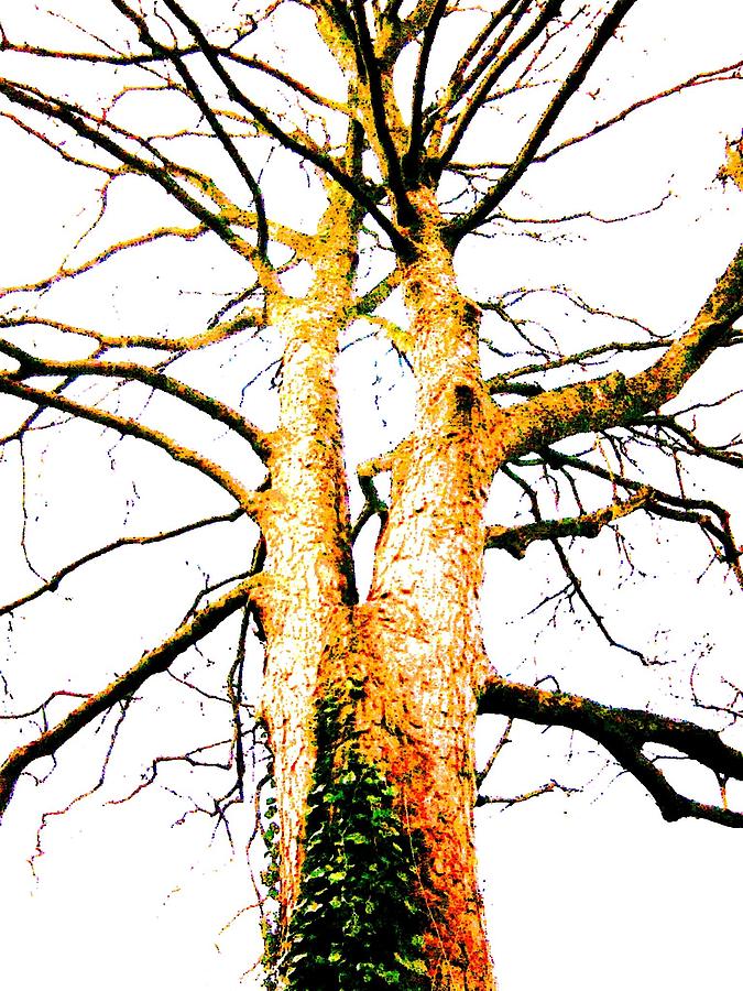 Pointillised Tree Mixed Media by Julia Woodman