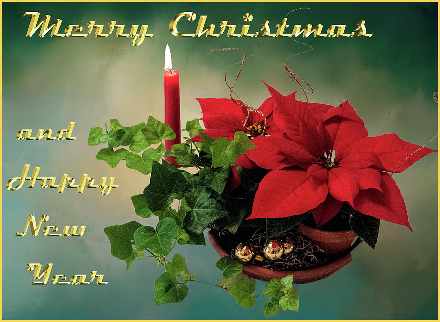 Christmas Photograph - Pointsettia and Candle Christmas Greeting Card by Phyllis Taylor