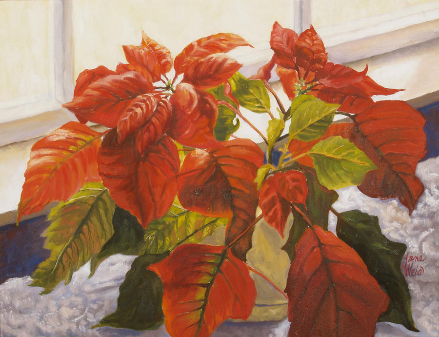 Florals Painting - Pointsettias In Light II by Jane Weis