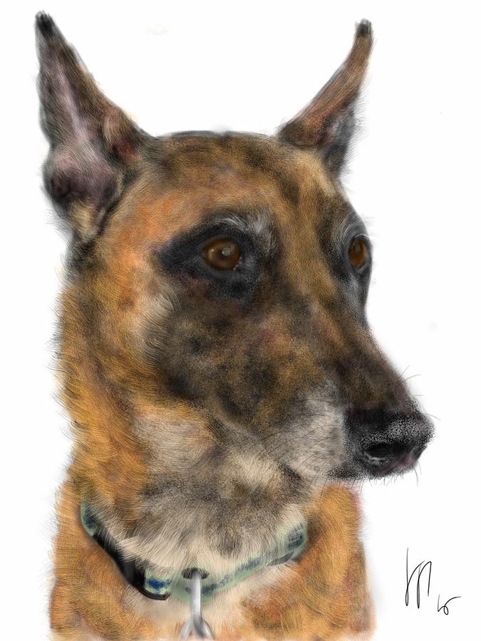 Dog Painting - Pointy Ear Pooch by Lois Ivancin Tavaf