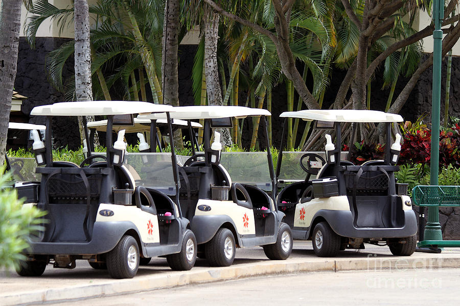 Poipu Bay Golf Course Carts Photograph by Catherine Sherman