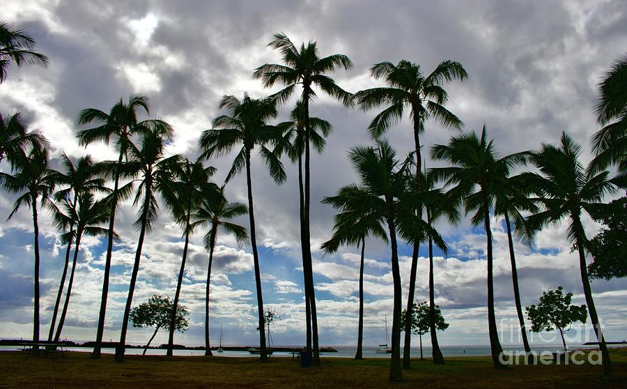 Pokai Bay, Waianae, Hawaii  Photograph by Craig Wood