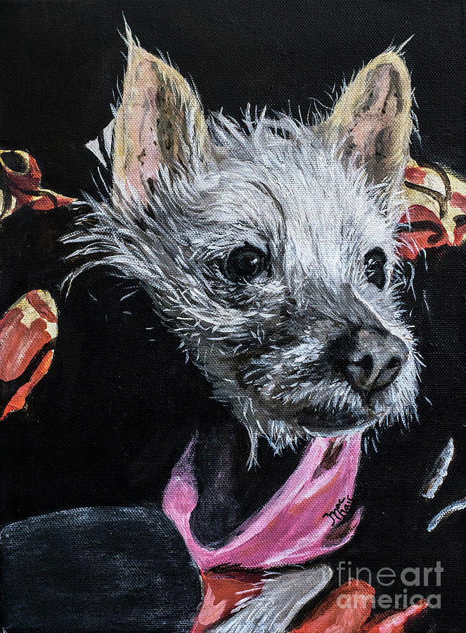Dog Painting - Pokita by Jackie MacNair