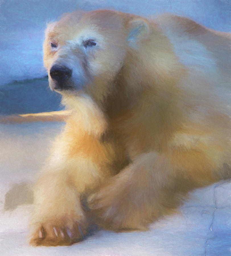 Polar Bear in Chalk Digital Art by Kandy Hurley