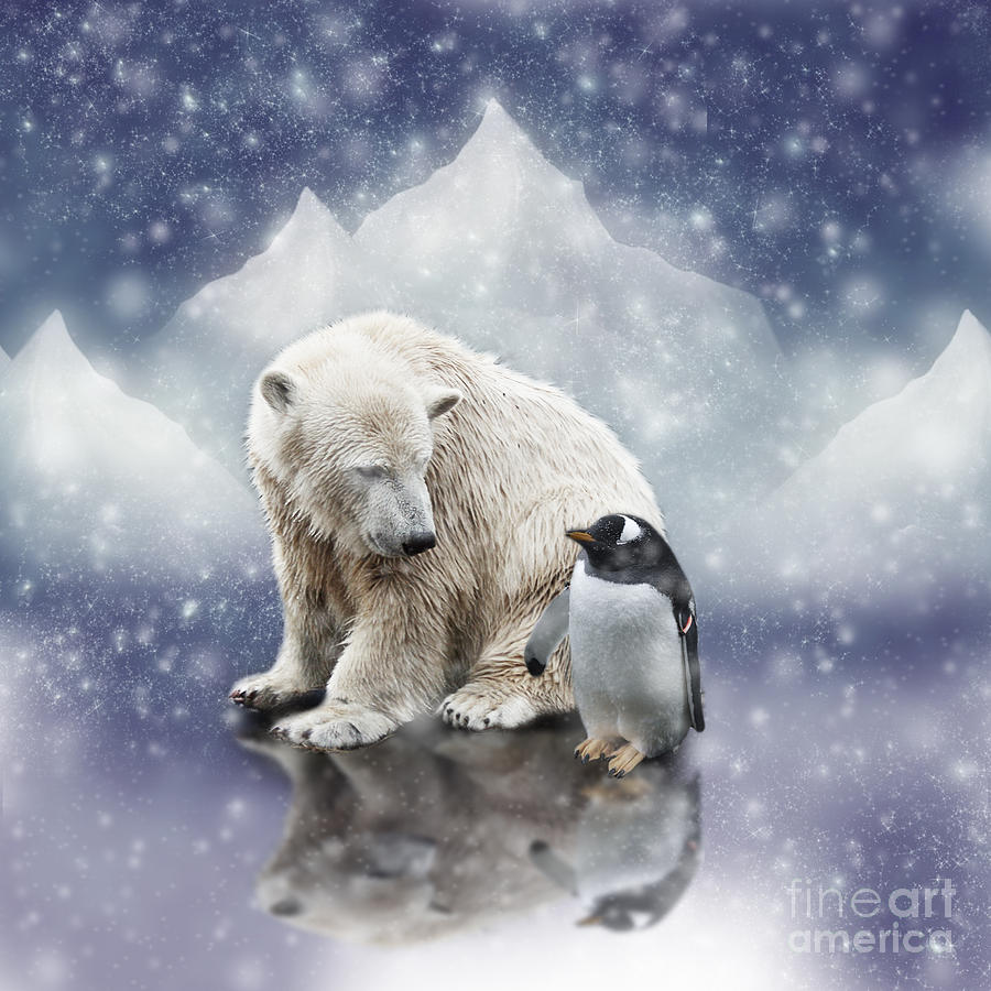 Penguin Photograph - Polar Bear Meets Penguin by Ethiriel Photography
