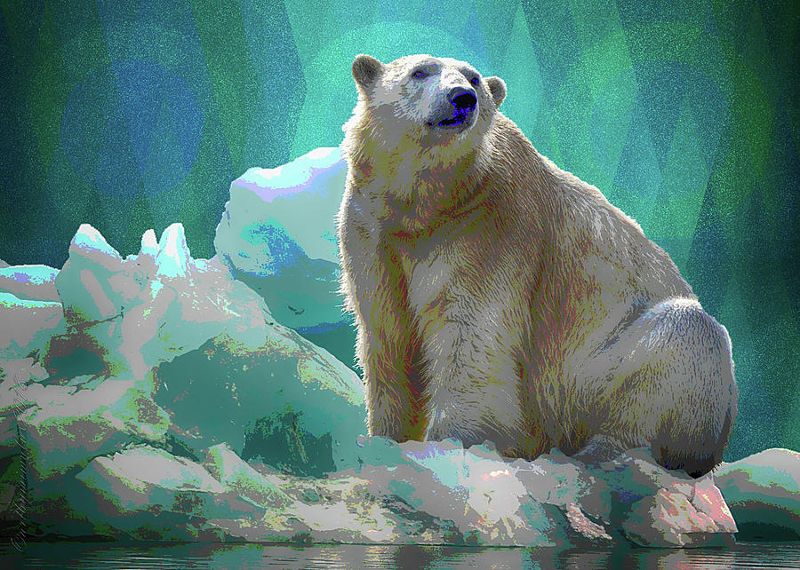 Polar Bear Digital Art by Mimulux Patricia No