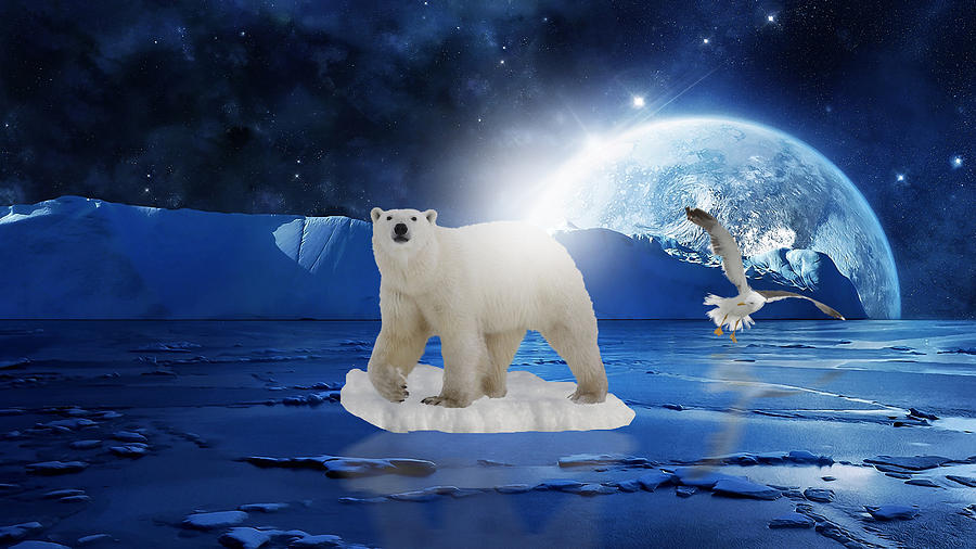 Polar Bear On Ice Mixed Media
