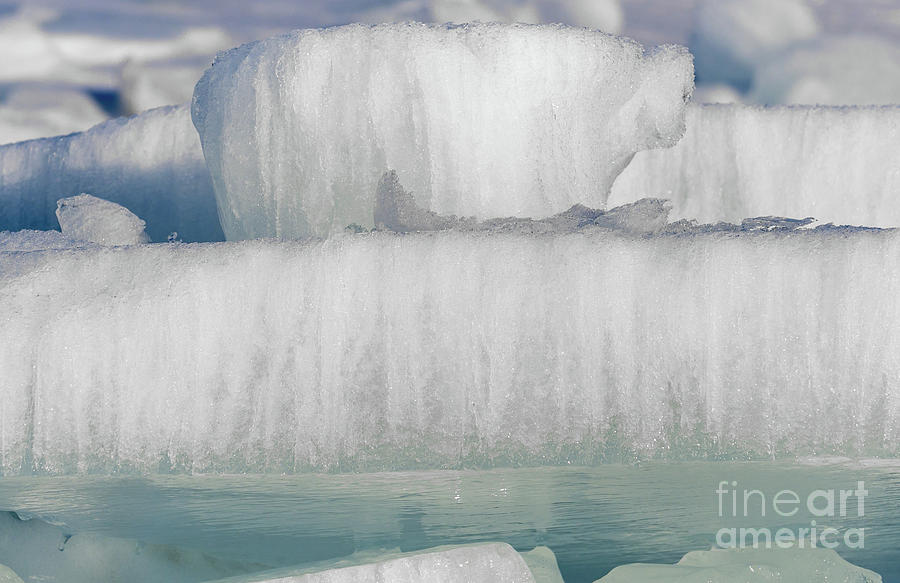 Polar Bear On Ice Shelf Photograph by Les Palenik