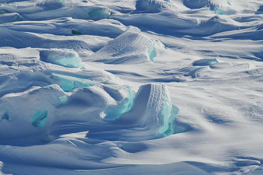 Nature Photograph - Polar Bliss II by Doug Gibbons