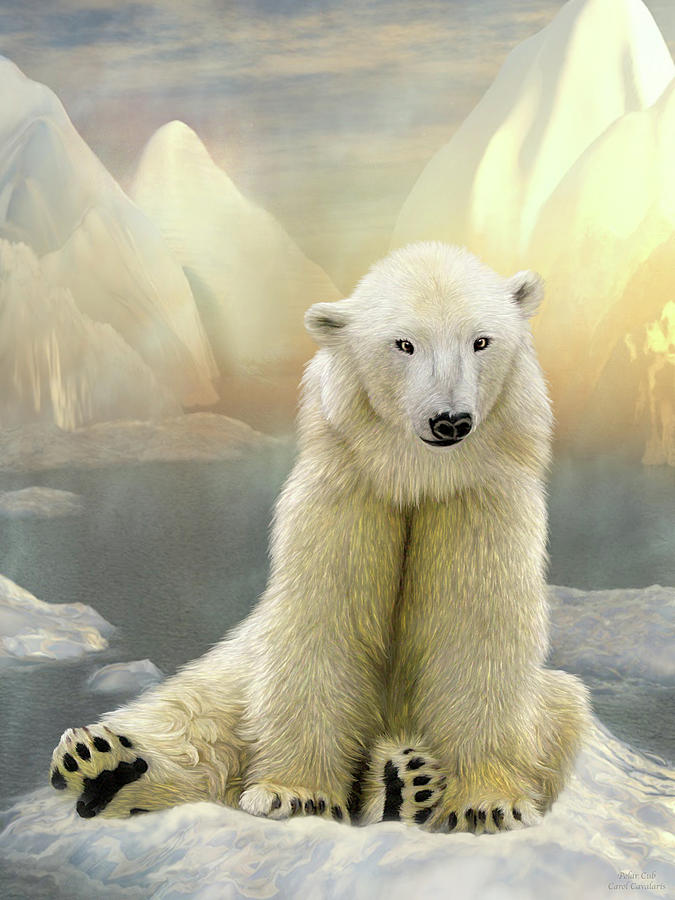 Polar Cub Mixed Media by Carol Cavalaris