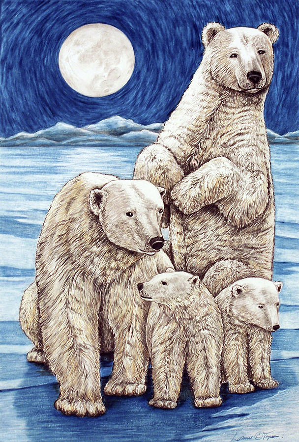 bear family drawing