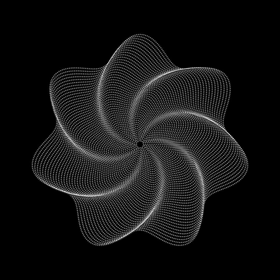 Polar Flower VIIk Digital Art by Robert Krawczyk