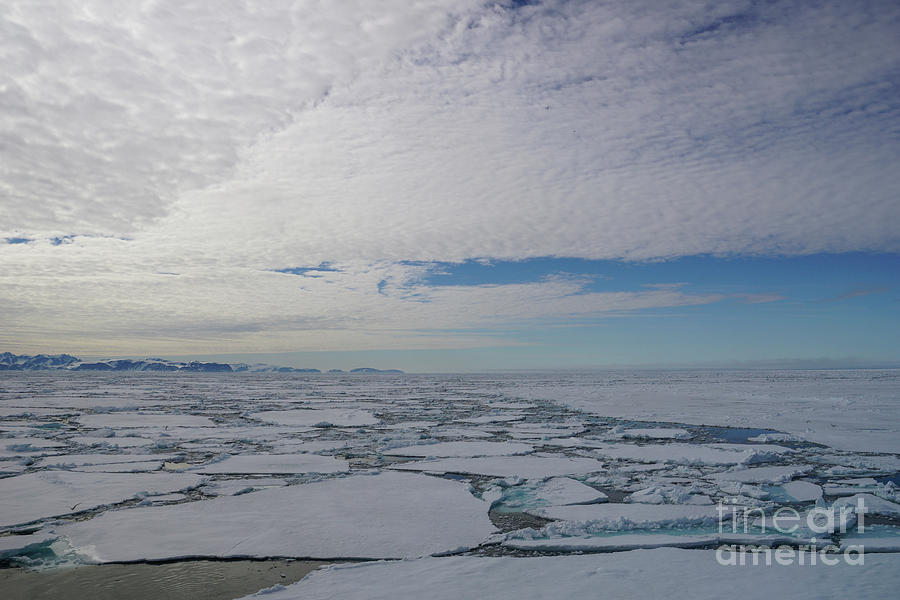 Polar Skies Photograph by Brian Kamprath