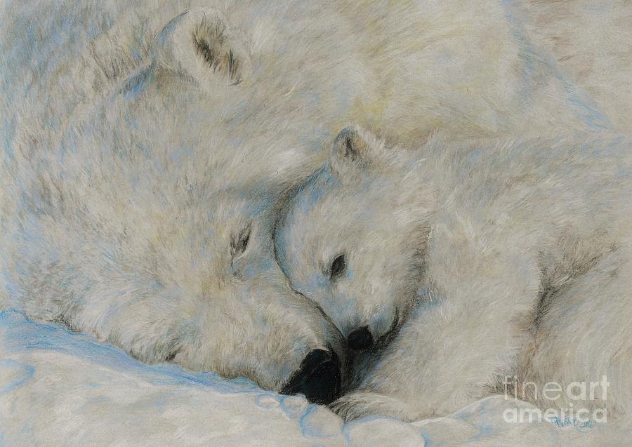 Polar Snuggle Drawing by Meagan  Visser