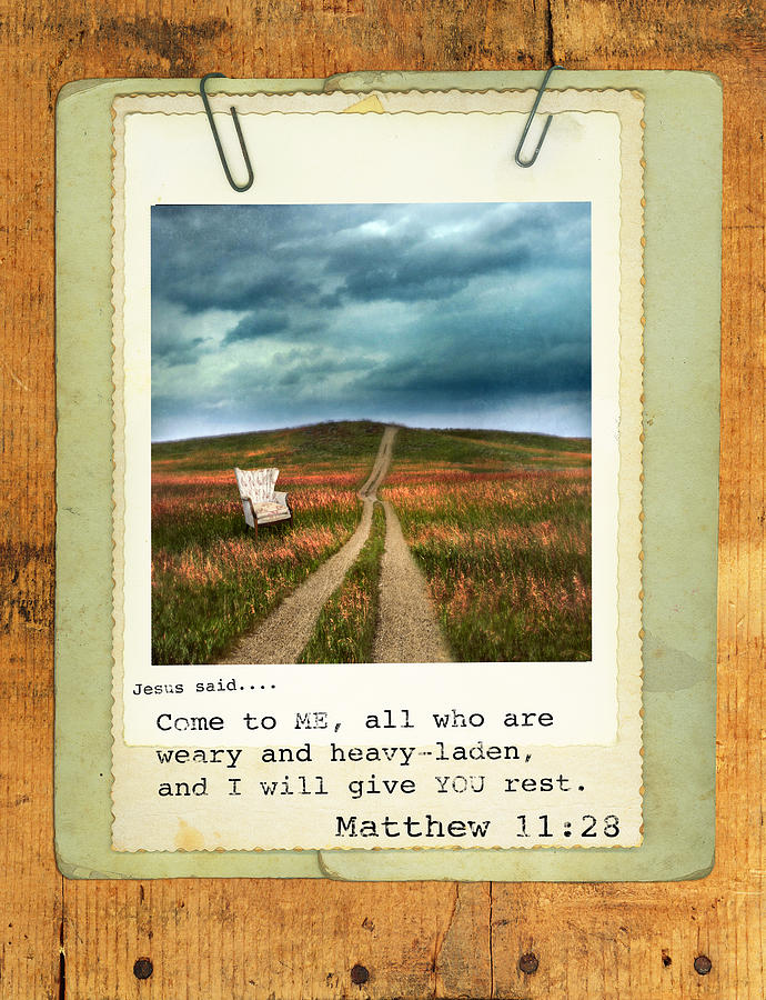 Polaroid on Weathered Wood with Bible Verse Photograph by Jill Battaglia