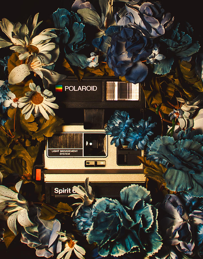 Polaroid Spirit Photograph by Amanda Tisch - Pixels