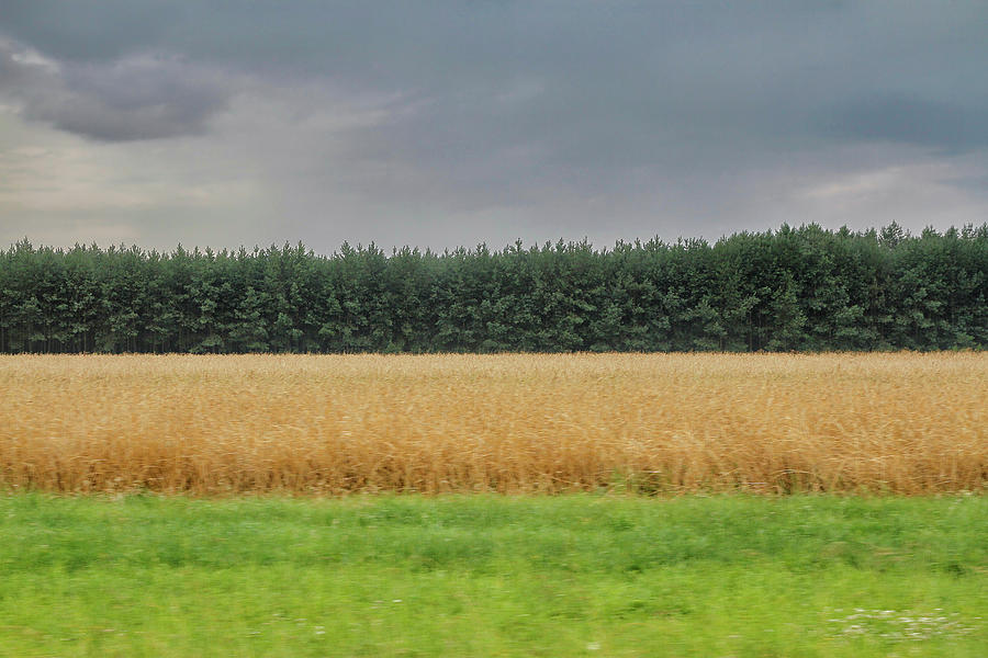 Polish Countryside From A Moving Car Photograph by Robert Woodward