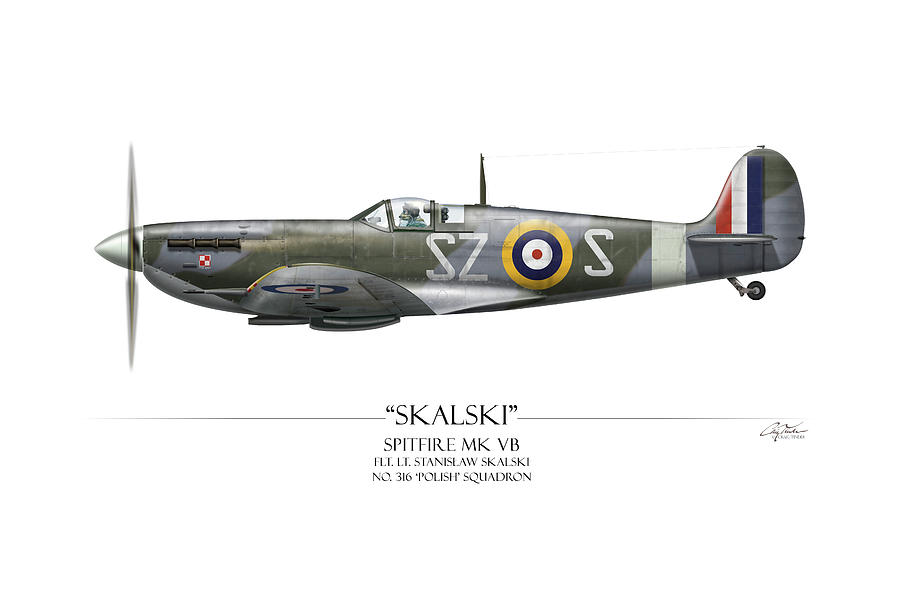 Airplane Digital Art - Polish Spitfire Mk V - White Background by Craig Tinder