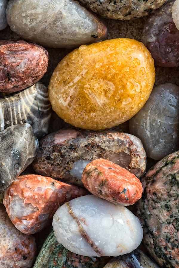 Polished Stones on the Beach Photograph by Matt Hammerstein