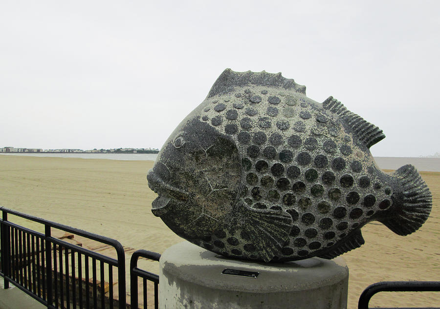 Polka Dotted Fish Sculpture Photograph by Mary Capriole