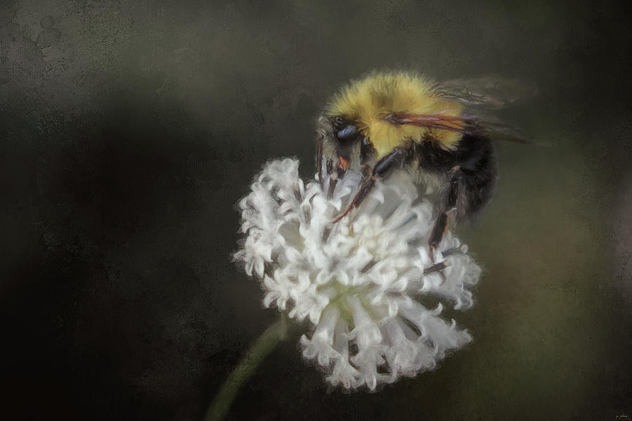 Pollen Hunter Painting by Jai Johnson