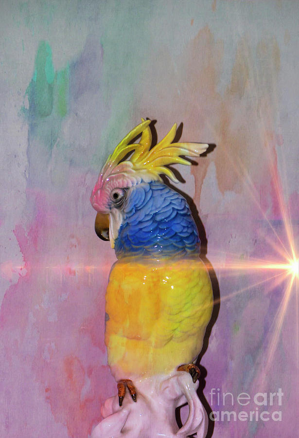 Parrot Photograph - Polly Wanna Cracker... NOW by Al Bourassa