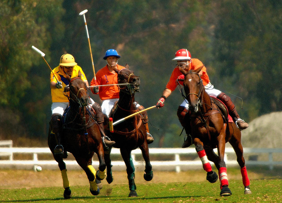 Polo Photograph by Marc Bittan