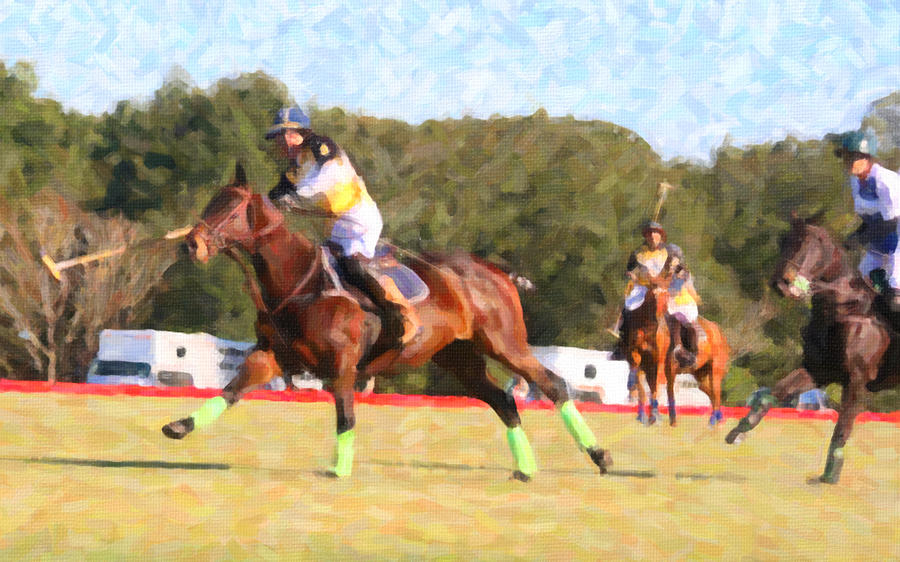 Polo Match in Florida Photograph by John A Megaw