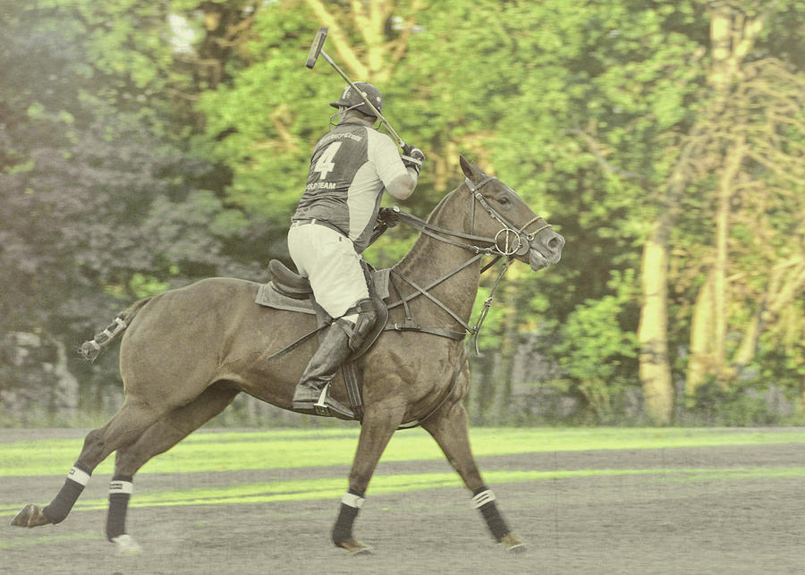 Polo Play Photograph by JAMART Photography