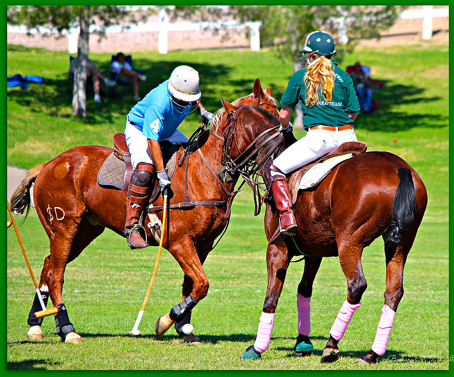 Scottsdale Photograph - Polo Pony Match by Barbara Zahno