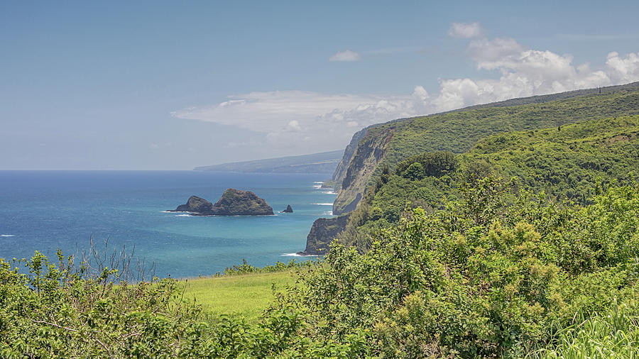 Pololu Valley Photograph by Susan Rissi Tregoning