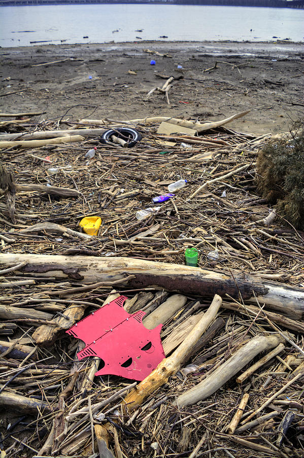 Polution Driftwood Photograph by FineArtRoyal Joshua Mimbs